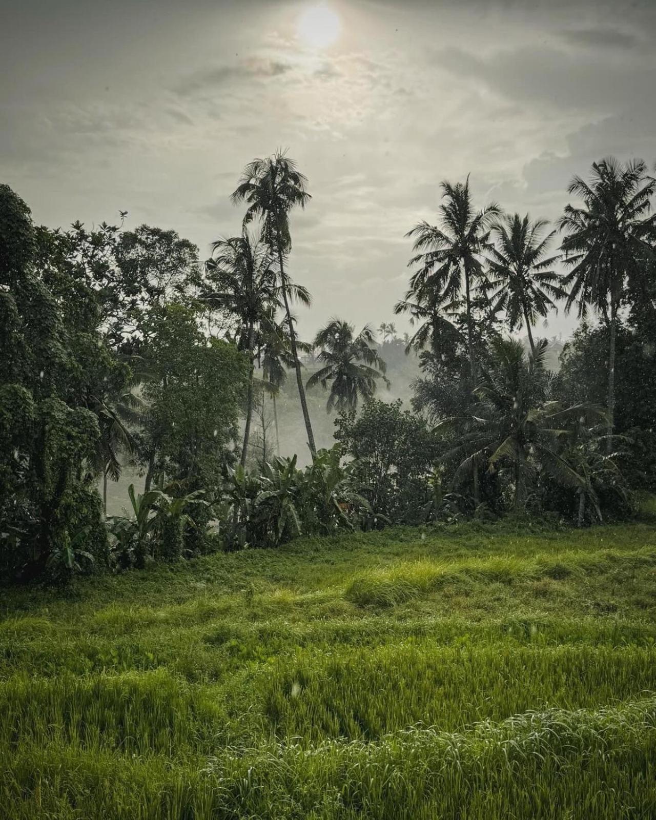 Nirwa Ubud Karma Exteriör bild