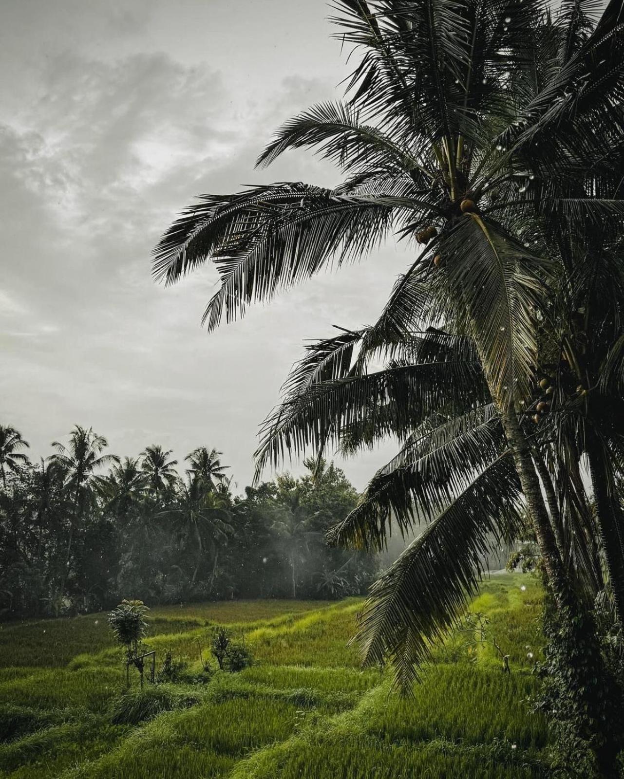 Nirwa Ubud Karma Exteriör bild